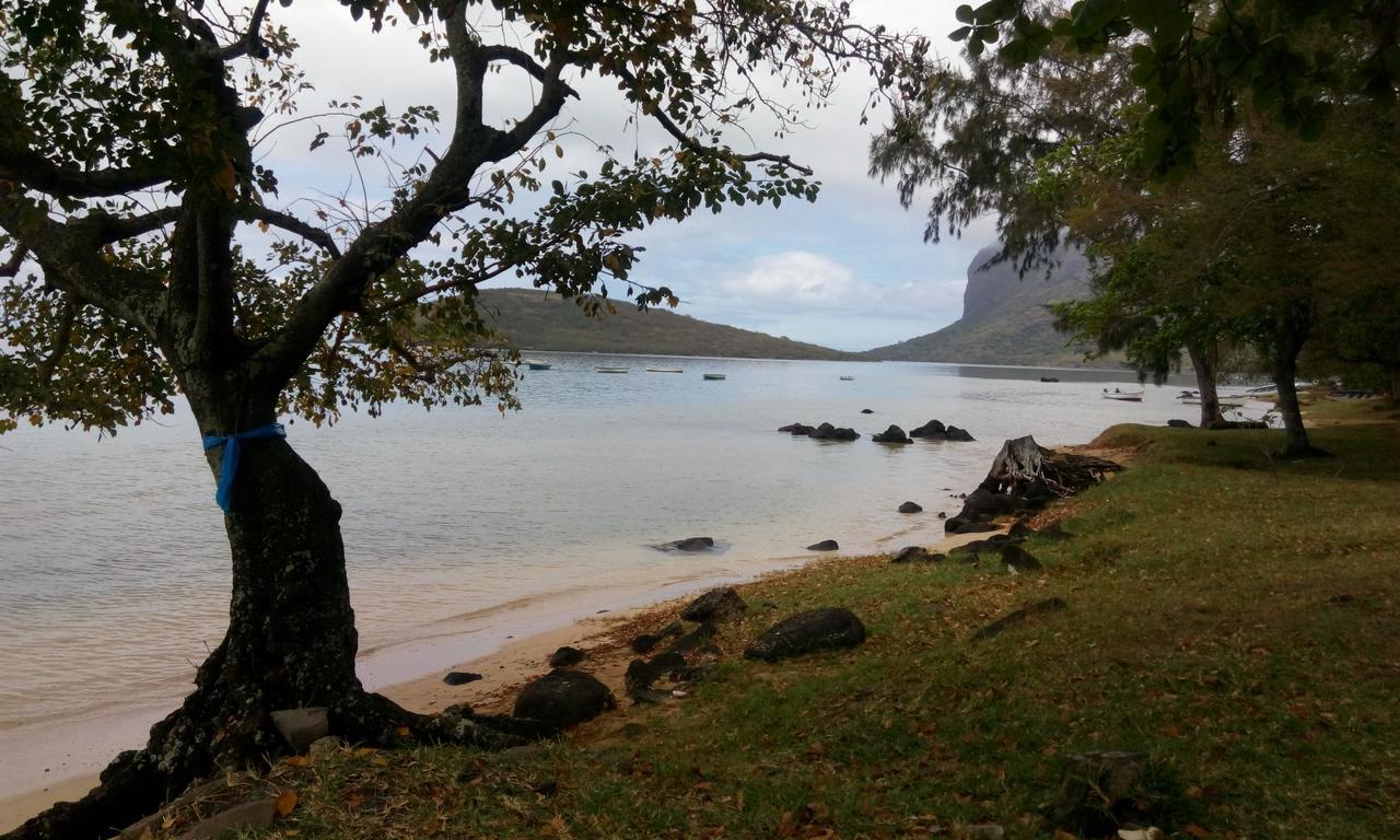 Ideal For Kite Surfer&Family Le Morne Brabant Eksteriør billede